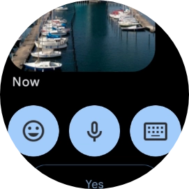 Press the microphone icon.
