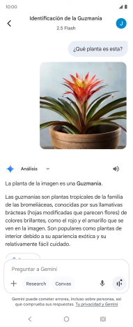 Sigue las indicaciones de la pantalla para escribir o decir en alto la pregunta deseada. Puedes adjuntar fotografías o documentos y hacer preguntas acerca de ellos.