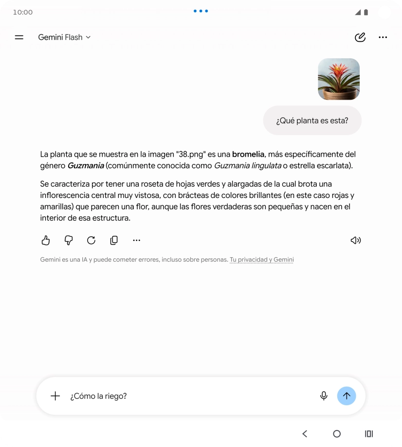 Sigue las indicaciones de la pantalla para escribir o decir en alto más preguntas y continuar la conversación. Sigue las indicaciones de la pantalla para escribir o decir en alto más preguntas y continuar la conversación.
