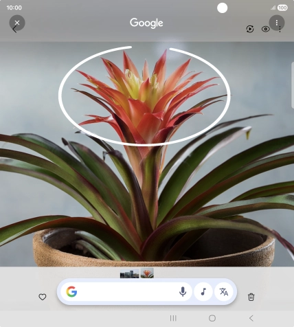 Rodea con un círculo el elemento deseado de la fotografía y espera a que aparezcan los resultados de búsqueda. Rodea con un círculo el elemento deseado de la fotografía y espera a que aparezcan los resultados de búsqueda.