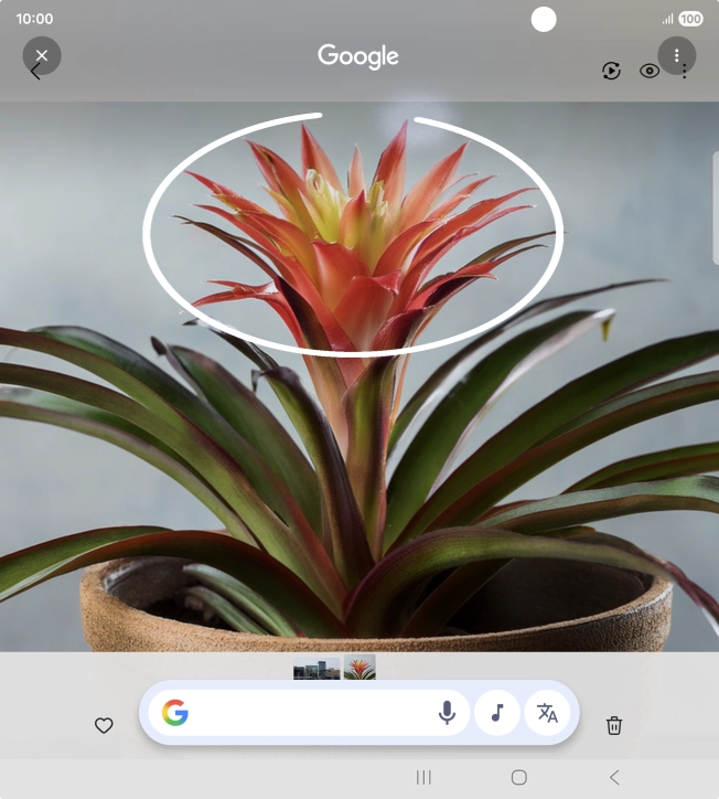 Rodea con un círculo el elemento deseado de la fotografía y espera a que aparezcan los resultados de búsqueda. Rodea con un círculo el elemento deseado de la fotografía y espera a que aparezcan los resultados de búsqueda.
