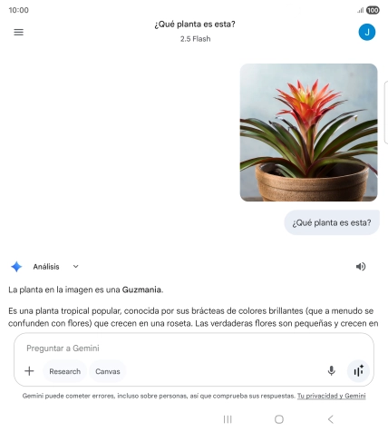Sigue las indicaciones de la pantalla para escribir o decir en alto la pregunta deseada. Puedes adjuntar fotografías o documentos y hacer preguntas acerca de ellos. Sigue las indicaciones de la pantalla para escribir o decir en alto la pregunta deseada. Puedes adjuntar fotografías o documentos y hacer preguntas acerca de ellos.