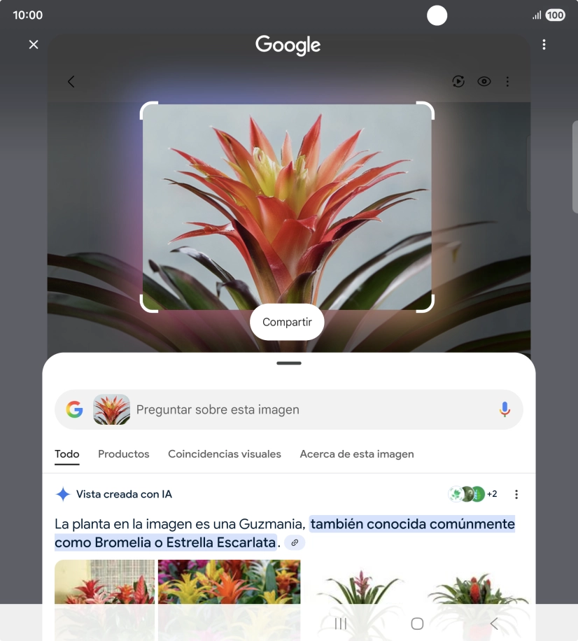 Sigue las indicaciones de la pantalla para utilizar los resultados de búsqueda. Sigue las indicaciones de la pantalla para utilizar los resultados de búsqueda.