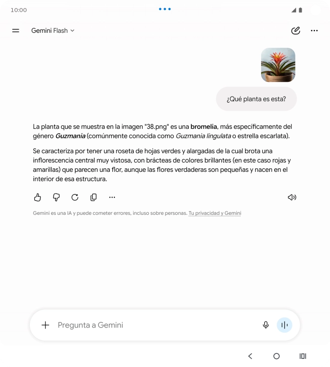 Sigue las indicaciones de la pantalla para escribir o decir en alto la pregunta deseada. Puedes adjuntar fotografías o documentos y hacer preguntas acerca de ellos. Sigue las indicaciones de la pantalla para escribir o decir en alto la pregunta deseada. Puedes adjuntar fotografías o documentos y hacer preguntas acerca de ellos.
