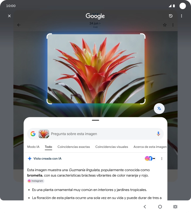 Sigue las indicaciones de la pantalla para utilizar los resultados de búsqueda. Sigue las indicaciones de la pantalla para utilizar los resultados de búsqueda.