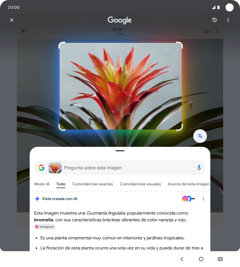 Sigue las indicaciones de la pantalla para utilizar los resultados de búsqueda. Sigue las indicaciones de la pantalla para utilizar los resultados de búsqueda.