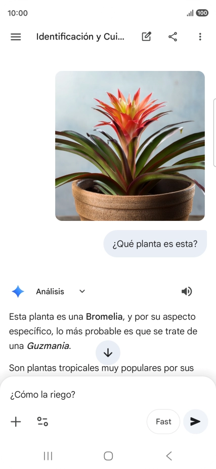 Sigue las indicaciones de la pantalla para escribir o decir en alto más preguntas y continuar la conversación.