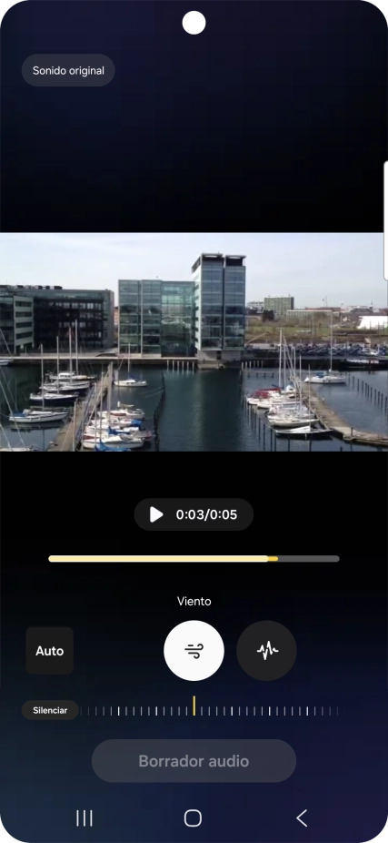 Pulsa el tipo de sonido deseado.