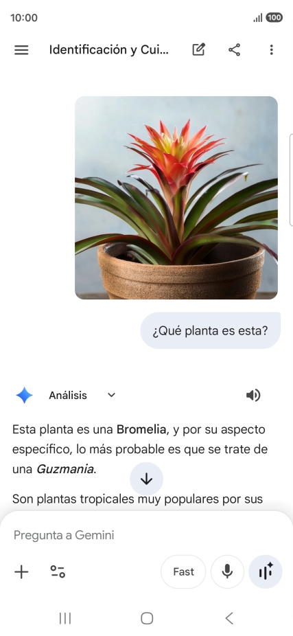 Sigue las indicaciones de la pantalla para escribir o decir en alto la pregunta deseada. Puedes adjuntar fotografías o documentos y hacer preguntas acerca de ellos.