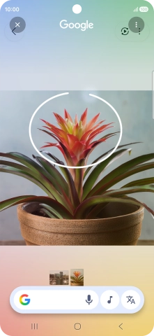 Rodea con un círculo el elemento deseado de la fotografía y espera a que aparezcan los resultados de búsqueda.