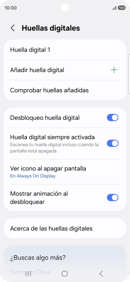 Pulsa los ajustes deseados para activarlos o desactivarlos.