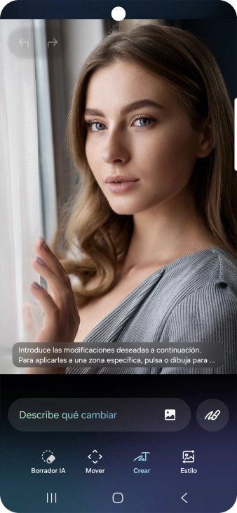 Pulsa Describe qué cambiar y escribe con tus propias palabras los cambios o adiciones que deseas llevar a cabo en la fotografía.