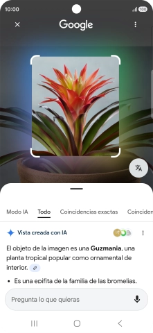 Sigue las indicaciones de la pantalla para utilizar los resultados de búsqueda.