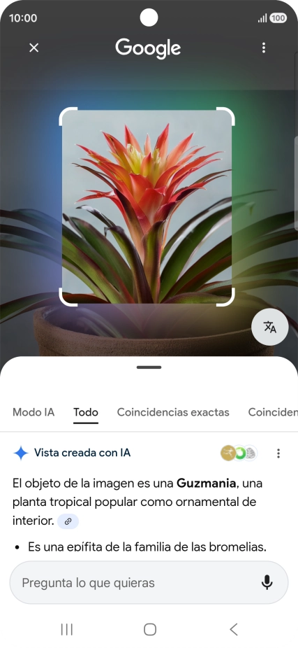 Sigue las indicaciones de la pantalla para utilizar los resultados de búsqueda.