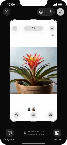 Para utilizar la inteligencia visual mediante un pantallazo, haz un pantallazo y sigue las indicaciones de la pantalla para utilizar la función.