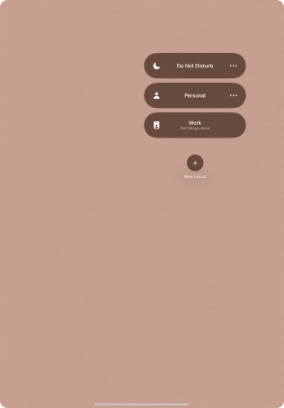 Press the required focus mode to activate or deactivate it immediately.