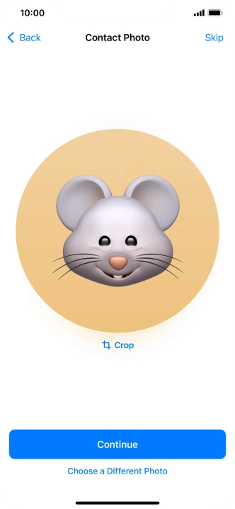 Follow the instructions on the screen to customise the selected picture and press Continue.