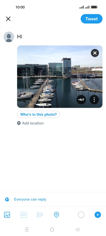 Write the required text and press Tweet.