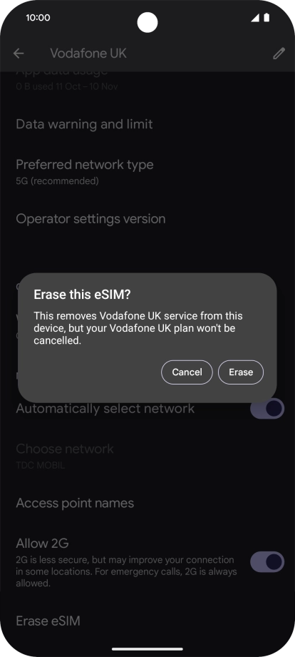 Press Erase and follow the instructions on the screen to delete your eSIM.