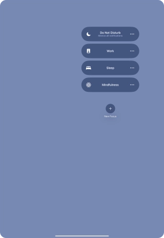 Press the required focus mode to activate or deactivate it immediately.
