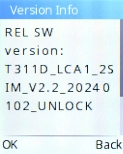 Your phone's software version is displayed below Version Info.
