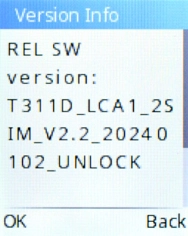 Your phone's software version is displayed below Version Info.