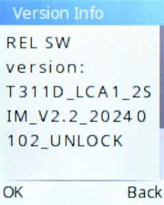 Your phone's software version is displayed below Version Info.