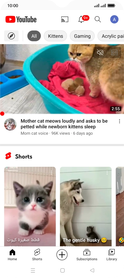 Press the upload icon.