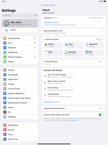 Press iCloud Backup.