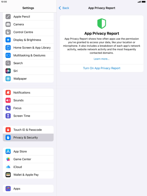 Press Turn On App Privacy Report to turn on the function.
