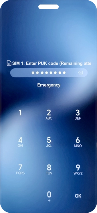 Key in the PUK and press OK.