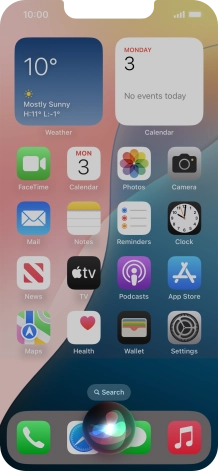 Say, in your own words, what you would like your phone to do, e.g.: CAMERA, CALL [contact], SEARCH THE WEB FOR [information].