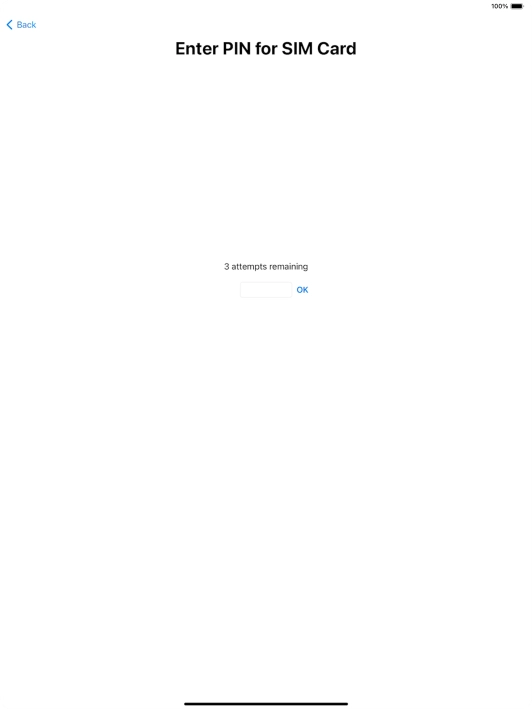 If your SIM is locked, key in your PIN and press OK.