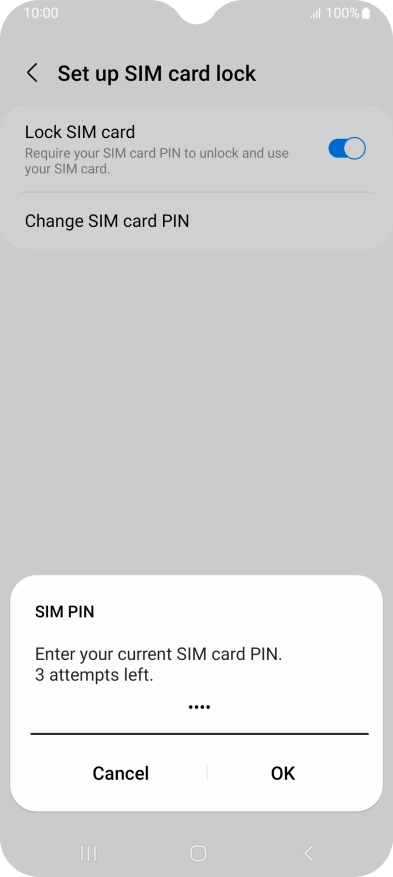 Key in your current PIN and press OK.