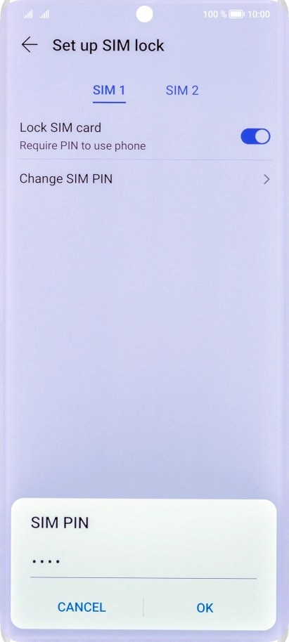 Key in your current PIN and press OK.