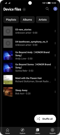 Press the required audio file.