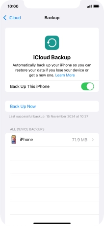Press Back Up Now and wait while the phone memory is backed up.