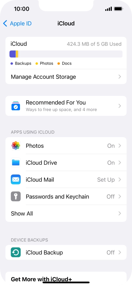 Press iCloud Backup.