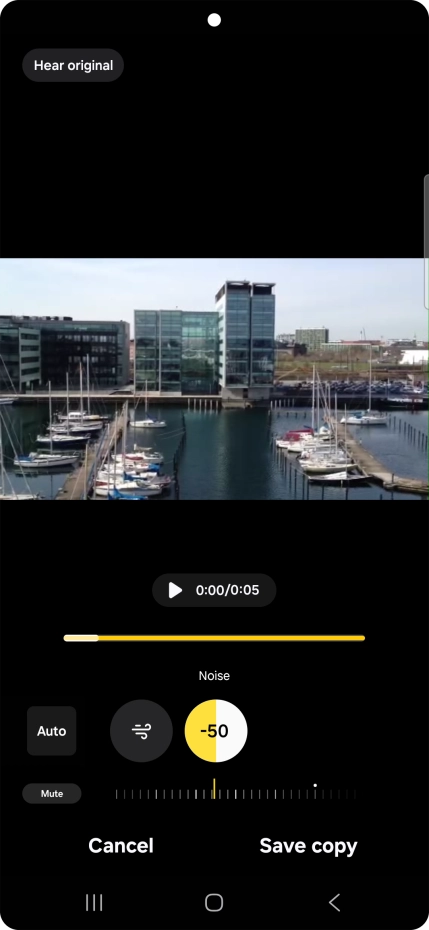Press Mute to completely remove the selected audio type from the video.
