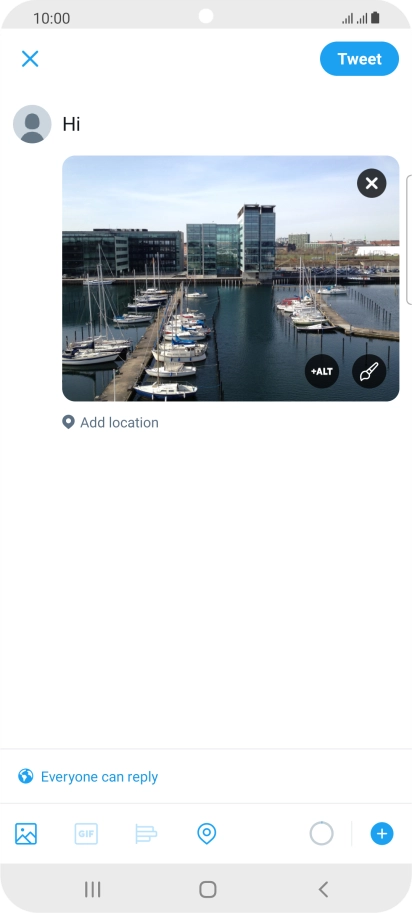 Write the required text and press Tweet.