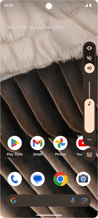 Press the silent mode icon to turn on the function.