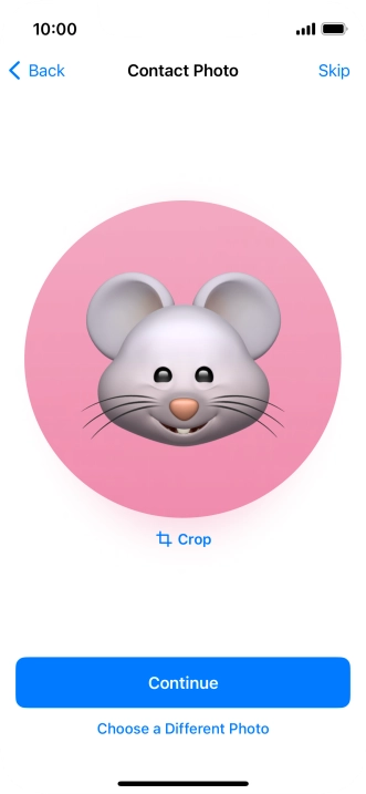 Follow the instructions on the screen to customise the selected picture and press Continue.