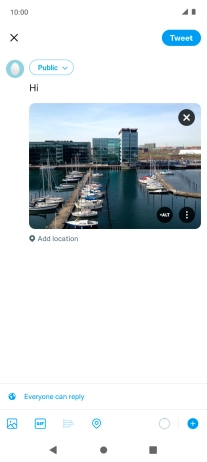 Write the required text and press Tweet.