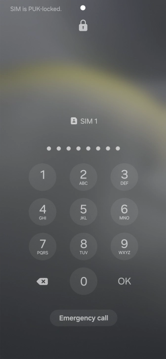Key in the PUK and press OK.