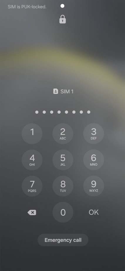 Key in the PUK and press OK.