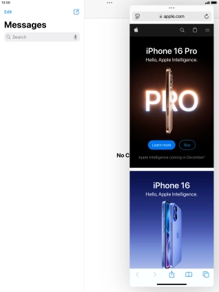 The application now displays on top of the other open application.