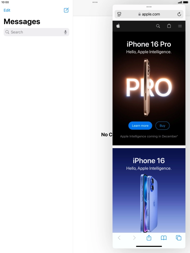 The application now displays on top of the other open application.