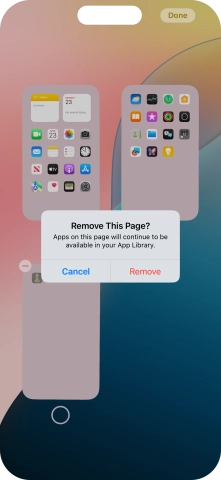 Press Remove. Press Remove.