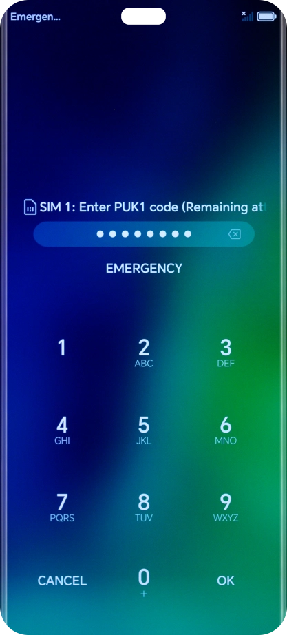 Key in the PUK and press OK.