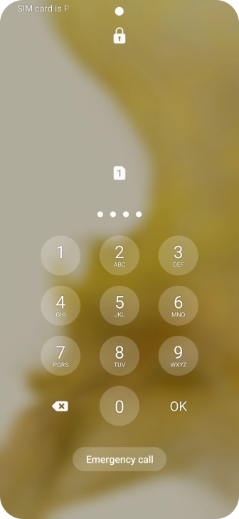 Key in a new four-digit PIN and press OK.